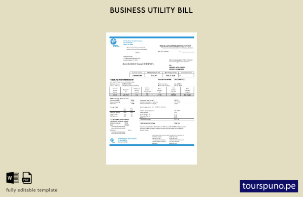 lista para imprimir plantilla de factura de servicios públicos de electricida 10